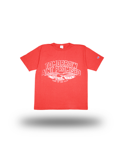 Land of the free Shirt