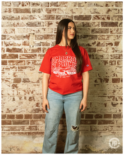 Land of the free Shirt
