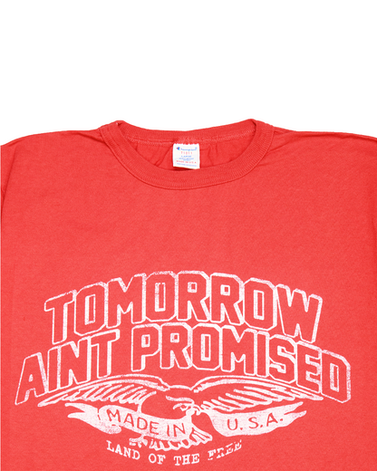 Land of the free Shirt