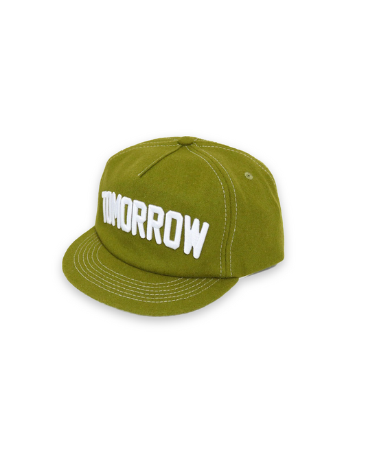 Kiwi short brim fitted