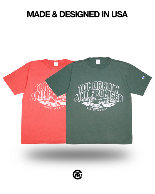 Land of the free Shirt